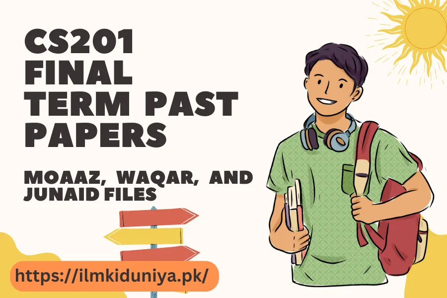 CS201 Final Term Past Papers