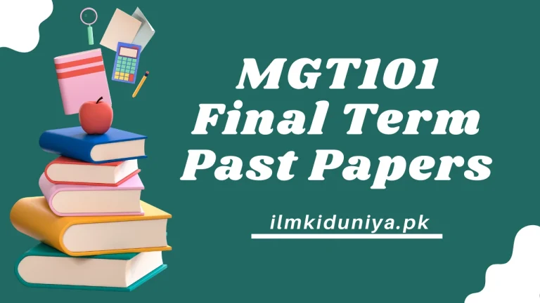 MGT101 finalterm