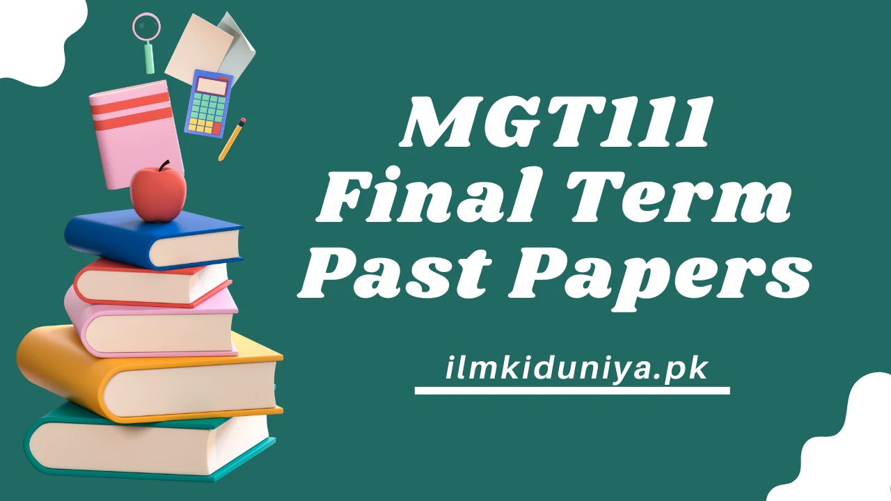 MGT111 Final Term Past Papers