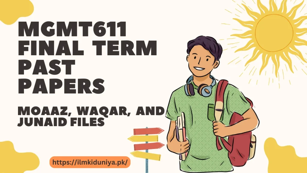 MGMT611 Final Term Past Papers