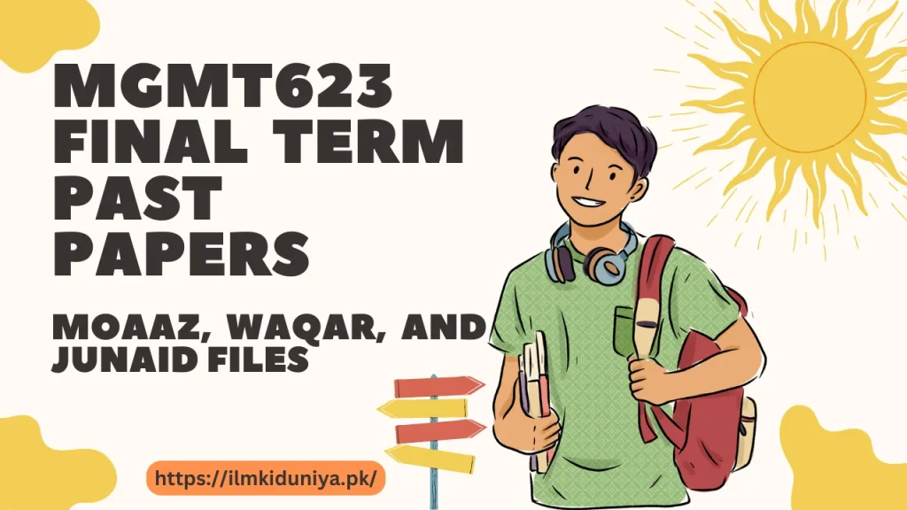 MGMT623 Final Term Past Papers