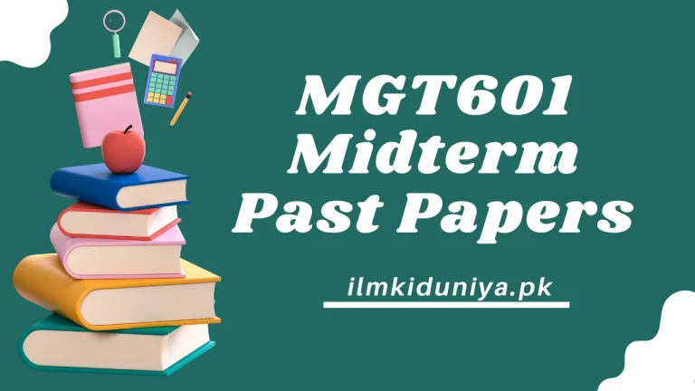 MGT601 Midterm Past Papers