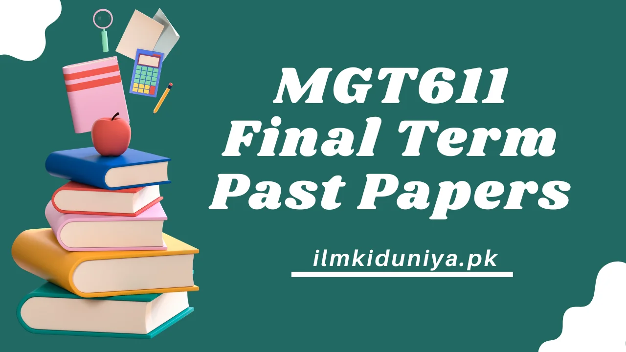 MGT611 Final Term Past Papers