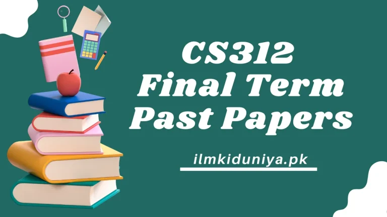 CS312 Final Term Past Papers